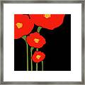 Four Red Flowers On Black Framed Print