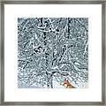 Fox In Snow Framed Print