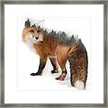 Fox Of The Woods Framed Print