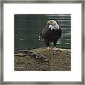 Freedom Unchained Framed Print