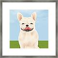 French Bulldog Sitting On Green Field Framed Print