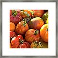 Fresh Heirloom Tomatoes Homegrown Framed Print
