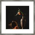 Fresh Peaches Framed Print