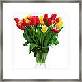 Fresh Tulips Flowers Framed Print