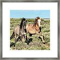 Frisky Horse Pals Framed Print