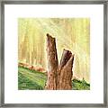 From Ruins Comes New Life Framed Print