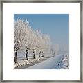 Frost With Snow Path Framed Print
