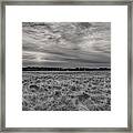 Frosty Hay Field Black And White Framed Print