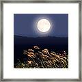 Full Moon And Japanese Silver Grass Framed Print