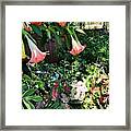 Garden Iii Framed Print