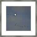 Geese Flock And Moon Framed Print