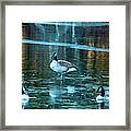 Geese On The Ice Framed Print