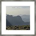 Gelada Baboon In The Simien Mountains Framed Print