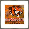 Georgetown Kentucky Tigers Framed Print