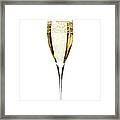 Glass Of Champagne Framed Print