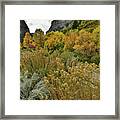 Glenwood Canyon Fall Colors At Hanging Lake Exit Framed Print
