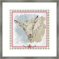 Goat Portrait-farm Animals Framed Print