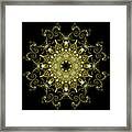 Gold 2 Framed Print