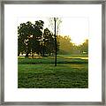 Golden Beams In Fall Framed Print