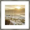 Golden Seagrove Beach Sunset Framed Print