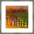 Golden Tuscany Ii Framed Print