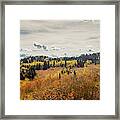 Golden Views Framed Print