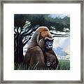 Gorilla Framed Print