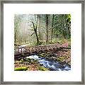 Gorton Creek Framed Print