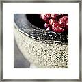 Grape Framed Print