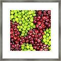 Grapes Framed Print