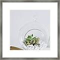 Gravel And Plant In Decorative, Spherical Glass Terrarium Framed Print