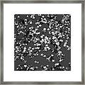 Gray Black Night Glitter Stars #1 #shiny #decor #art Framed Print