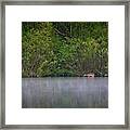 Grazing In The Lake Framed Print