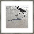 Great Blue Heron Beach 16 2 Framed Print