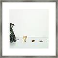 Great Dane, Cat, Guinea Pig, Tortoise Framed Print