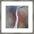 Great Egret Portrait 1 Framed Print