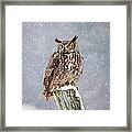 Great Horned Owl Framed Print