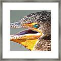 Green Eye Framed Print