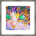 Green Eyed Cat Abstract Framed Print