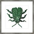 Green Plastic Bug Framed Print