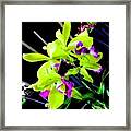 Green Purple Orchid Aloha Framed Print