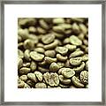 Green Raw Coffee Bean Crop Framed Print