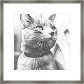 Grey Cat Posing, Black And White Sketch Framed Print