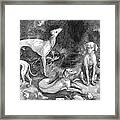 Group Of Dogs. From The Engraving Framed Print