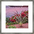 Growing Above The Water Framed Print
