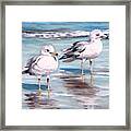 Gulls Framed Print