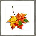 Happy Autumn Framed Print