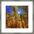 Happy Fall Framed Print