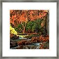 Havasu Pools Framed Print