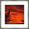 Heading Home Horse Eagle Sunset Silhouette Series Framed Print